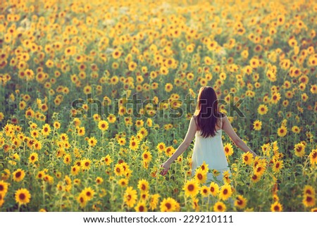 Young woman walking away in a field of sunflowers, view from her back; copy space