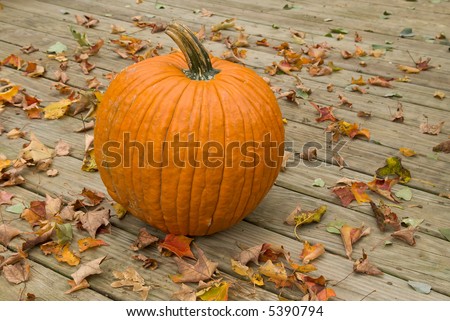 Pumpkin on a wood deck surrounded by fall leaves