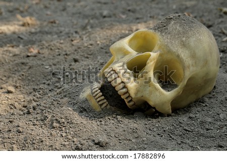 Human skull half buried in the earth