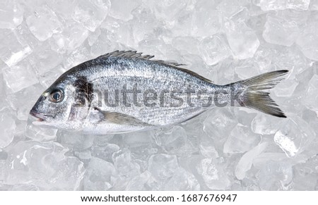 Similar – Image, Stock Photo Fresh fish on ice in wooden crates in front of a shop in Bursa, Turkey