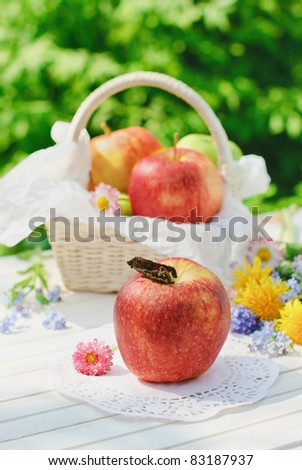Red apples, flowers and basket in sunny summer day