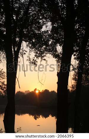Sun rising between two trees on a misty lake in Central Florida