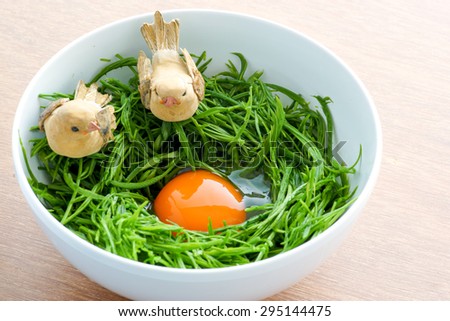 bird and egg  in green acacia pennata nest  in white bowl on wood background