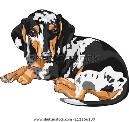 Shutterstock Puzzlepix