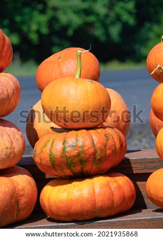 A group of stacked pumpkins on top of one another arranged on a wooden plank backing. Bright orange colors of ripe vegetables. Halloween celebration, holidays concept, wallpapers, roadside sale. Stock foto © 