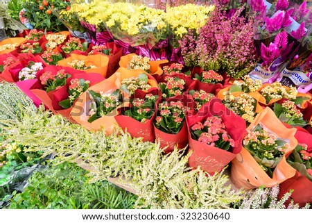 HONG KONG - OCT 1, 2015: Hong Kong Flower Market in Mong Kok. Hong Kong Flower Market is the largest flower wholesale and retail market in Hong Kong.