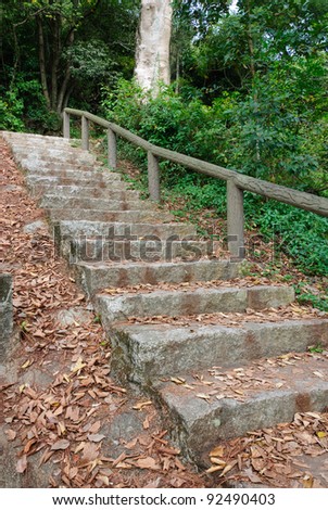Stone stair path through fall yellow leave