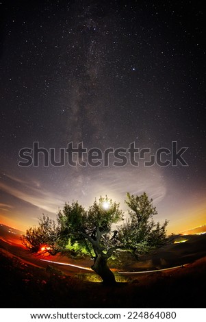 Night landscape with the Milky Way above the fields