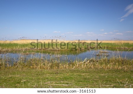 danubian delta landscape and the blue sky