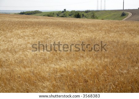 agriculture country landscape