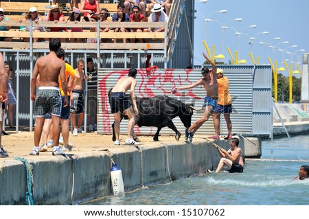 ALICANTE, SPAIN - JULY: spanish people in fiesta - bulls in the water - moraira, alicante - spain, july 2008