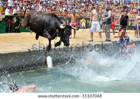 ALICANTE, SPAIN - JULY:spanish people in fiesta - bulls in the water - moraira, alicante - spain, july 2008