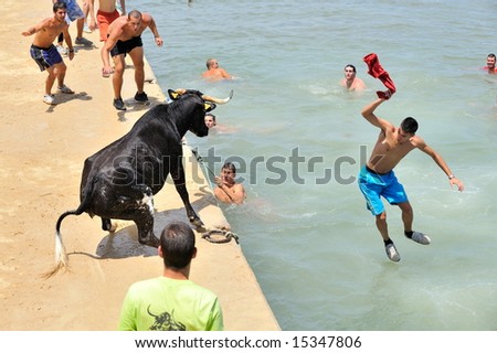 spanish people in fiesta - bulls in the water - moraira, alicante - spain, july 2008