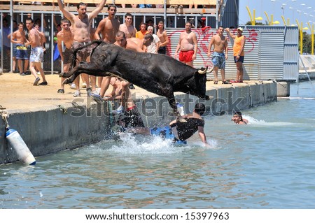 Denia, SPAIN - JULY:spanish people in fiesta - bulls in the water - moraira, alicante - spain, july 2008