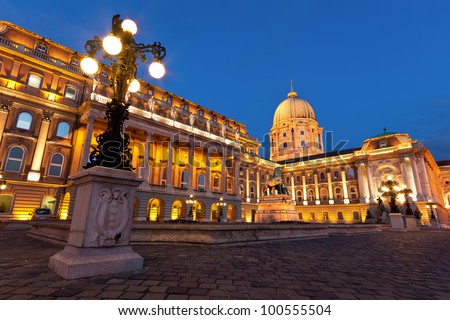 The west side of the historic Royal Palace - Buda Castle in Budapest with a streetlight - Hungary at night