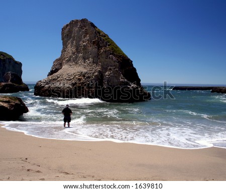 scenic beach outlook with man standing on