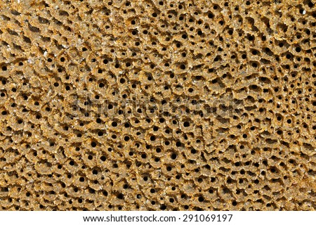Honeycomb worm holes