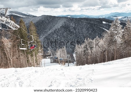 Similar – Foto Bild Nicht erkennbare Reisende im Nadelwald