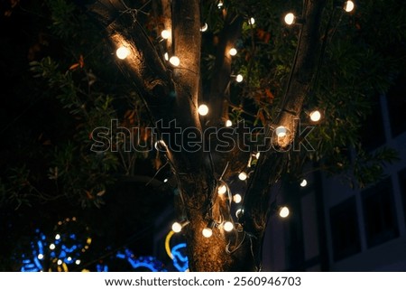 Similar – Image, Stock Photo street Tree trunk Winter