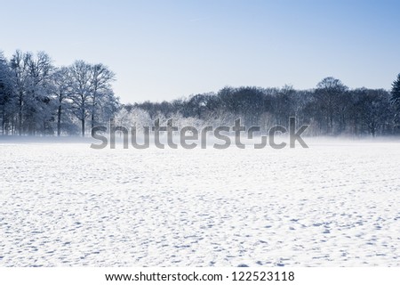 Winter landscape with a field of snow on the foreground