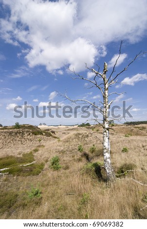 Landscape of pure nature with lots of sand