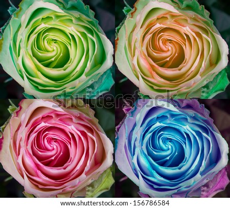 A collage of colorful rose spirals of green, peach, pink and blue.