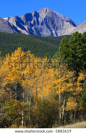 Autumn colors with 14,259 ft Longs Peak. Blue sky, bright colors and Incredible mountain peak.