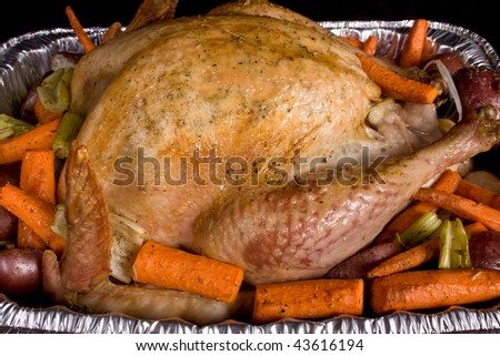 Close-up of a Golden brown Holiday Dinner Turkey in a roasting pan with orange carrots, green celery and red potatoes.