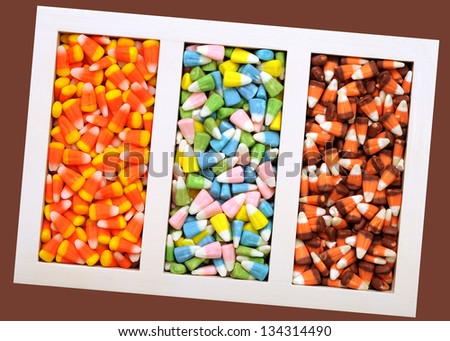 some kinds of corn tooth candies with many flavors