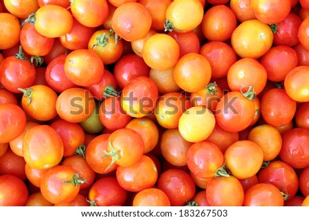 organic cherry tomato for background and texture