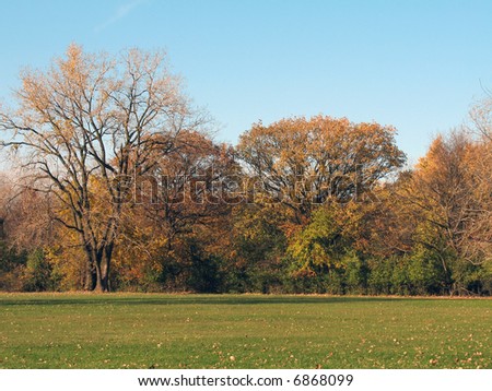 fall (autumn) scene