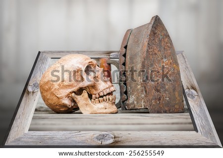Still Life with Skull out of frame