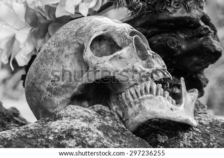 Still life, human skull on the rock, Black and white style