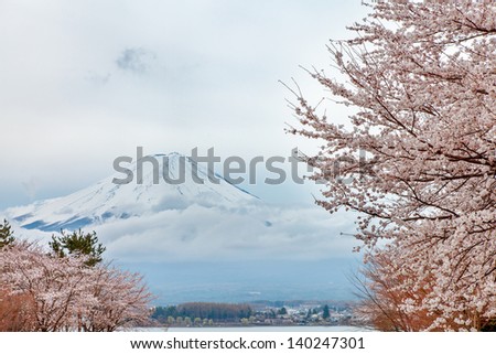 Beautiful scenery of mount Fuji and cherry blossoms in spring time, Japan