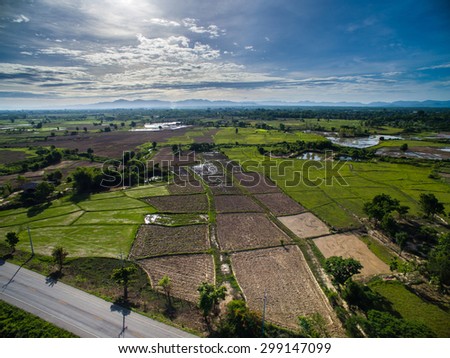 Rice field top view from drone Lampang, northern Thailand.