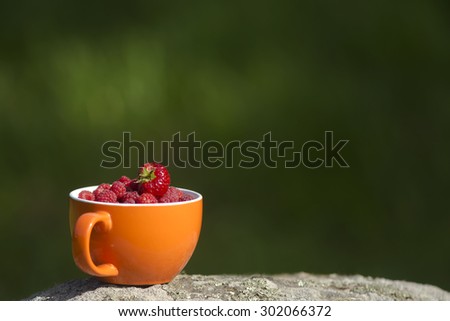 an orange cup of berries on solid green background