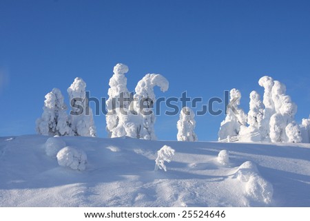 stock-photo-winter-scene-in-lapland-finland-25524646.jpg