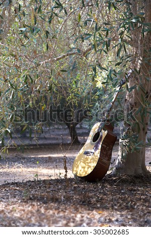 Acoustic guitar stands near the tree with blurred background. Good paint of shadow.