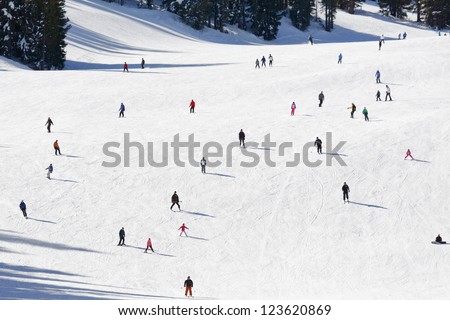 ski mountain with many skiers