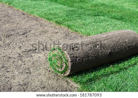 Rolled sod for new lawn
