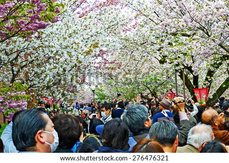 OSAKA, JAPAN - April 11: Crowd of people at Japan Mint in Osaka, Japan on April 11, 2015. It is the famous Cherry Blossom Viewing in Osaka.