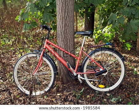 Parked bicycle in a forest, close-up