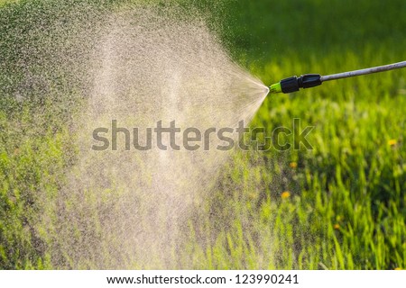 watering the lawn with a hand sprayer