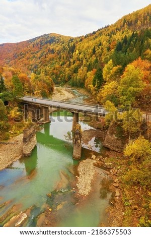 View on railway bridge above the Prut river. Beauteful autumn in Carpathian mountains, Yaremche, Ukraine Photo stock © 