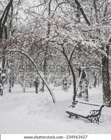 Benches in the winter city park which has been filled up with snow