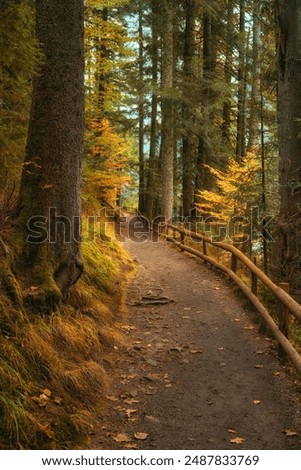 Similar – Image, Stock Photo Wooden path alongside the Vintgar Gorge