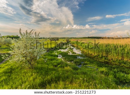 green grass, river and clouds in blue sky