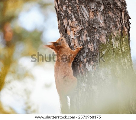 Similar – Image, Stock Photo Tree trunk with its annual rings