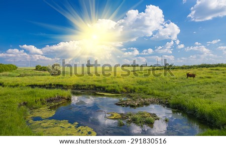 green grass, river, clouds in blue sky and cows