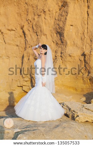 Bride in wedding dress the beach sunset